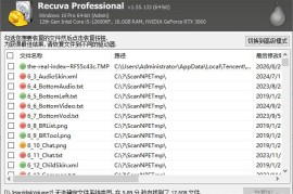 Recuva v1.55.133绿色版（数据恢复软件）