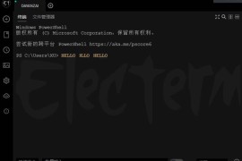 Electerm v3.10.0中文版（跨平台SSH桌面终端）