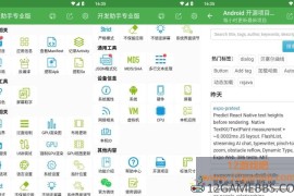 开发助手 v10.1.1 专业版（专业Android开发辅助工具）
