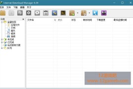 下载利器IDM v6.43.8 绿色版下载_多线程下载工具