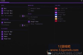 CS2 Visor单板方框骨骼透视作弊（成品+源码）