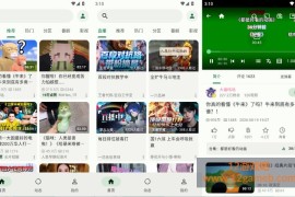 PiliPlus v2.1.1 第三方哔哩哔哩客户端_界面极简无广告支持1080P+