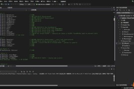 DayZ Dumper V3 dump工具源码