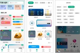 万象小组件v5.5.9会员版（超多样式或功能的小部件）