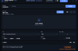 Stealth 注入器 v0.4 内置11种可选注入方式