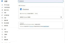 Chromium浏览器 v149.0.7827.155 绿色版（GoogleChrome浏览器实验性开发版）