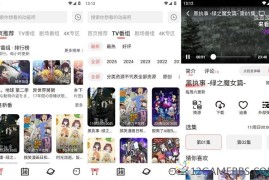 次元城动漫v5.3.1去广告版（口碑极高的免费神器）