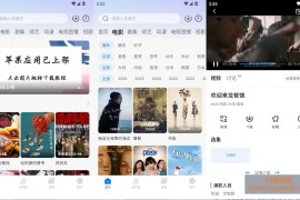 咸鱼影视 v4.0.9 去广告版_影视动漫短剧免费看