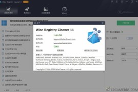 Wise Registry Cleaner v11.3.3.735（注册表清理与优化工具）