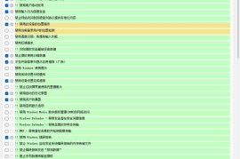 W10Privacy v6.1.0 中文绿色版_隐私设置与系统优化工具