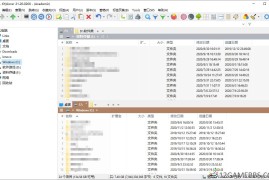 XYplorer v28.30.0800绿色便携版（文件管理器）
