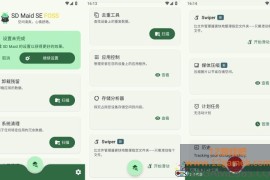 SD Maid SE v2.0.3 专业版（手机清理与文件管理工具）