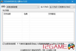12GAMEBBS注入器Ver1.1.3