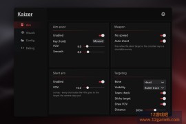 Hood Warfare 2 透视静默瞄准无后座免费辅助