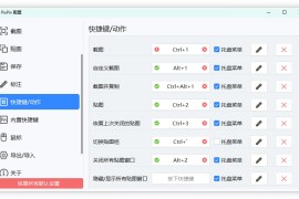 PixPin v3.1.3.1正式版（屏幕截图GIF录制工具）