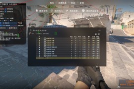 CS2 蓝调自喵透视锁头最新版