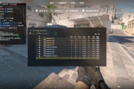 CS2 蓝调自喵透视锁头最新版