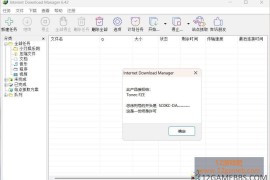 下载利器IDM v6.43.8 注册版_高性能下载管理软件