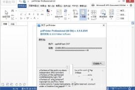 priPrinter Professional v7.0.0.2628 绿色版下载_虚拟打印机软件