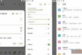 ADM v14.0.42 专业直装版_多线程下载工具百度无限速