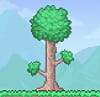 Terraria《泰拉瑞亚》传送加速增伤无限物品等CT脚本 软件图标